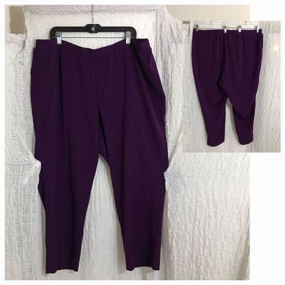 Tanjay Amethyst Strech Pull-On Pants Size 24W - Picture 1 of 12